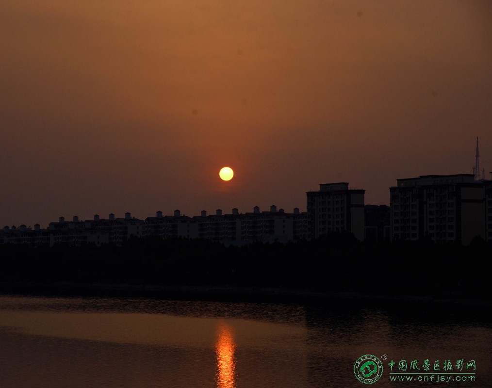 DSC_6535_副本.jpg