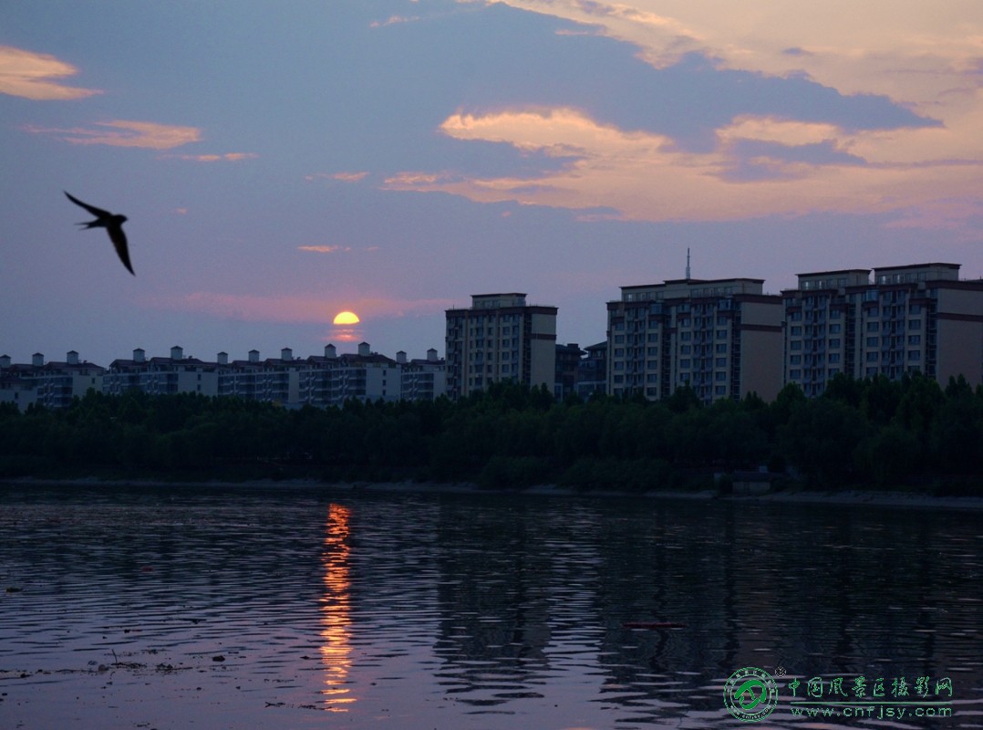DSC_2728_副本.jpg
