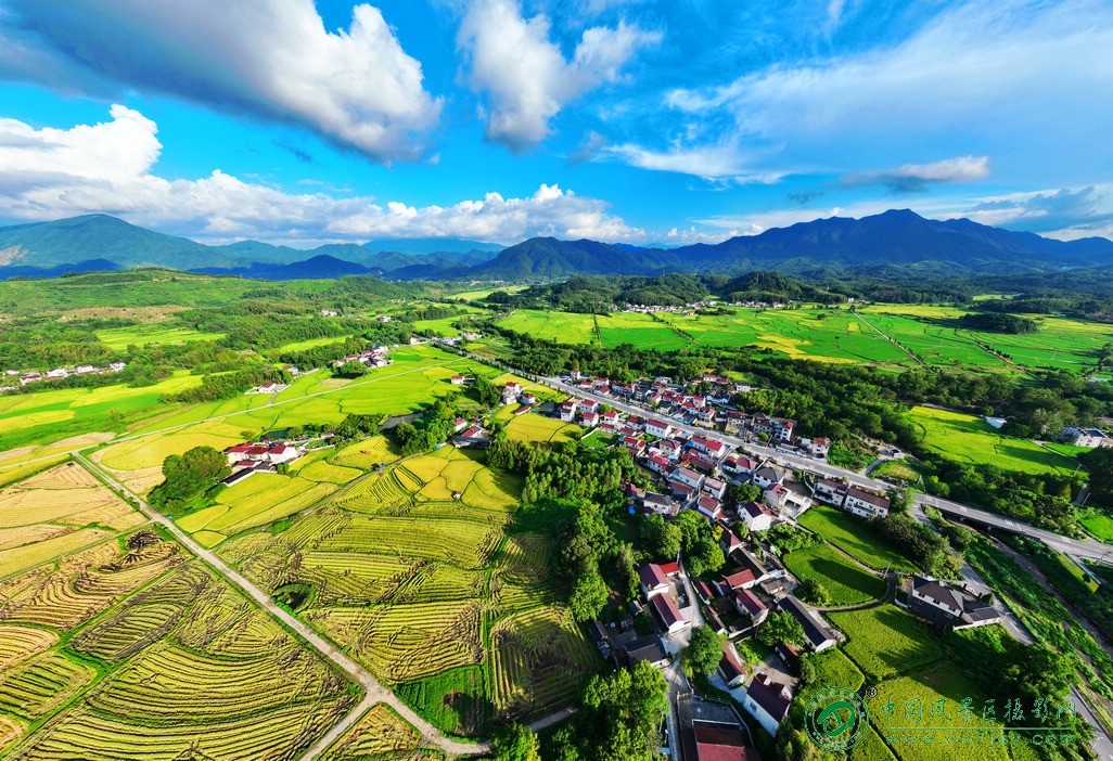 DJI_0921片.jpg