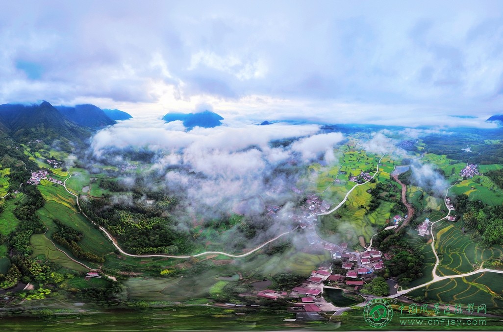 DJI_0942片.jpg