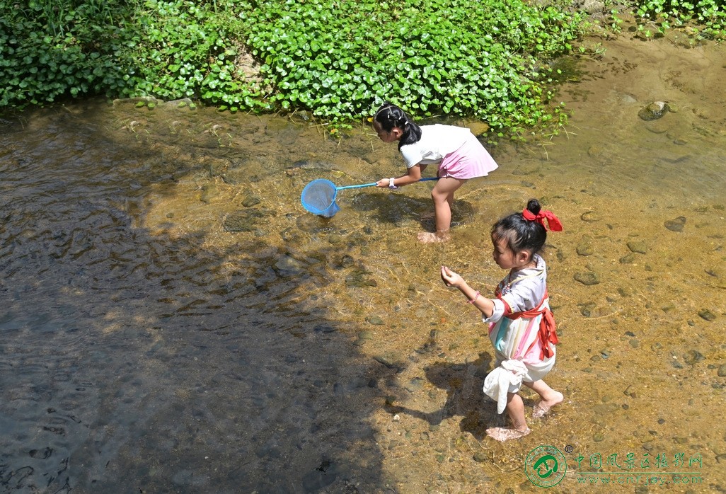 DSC_3427片.jpg