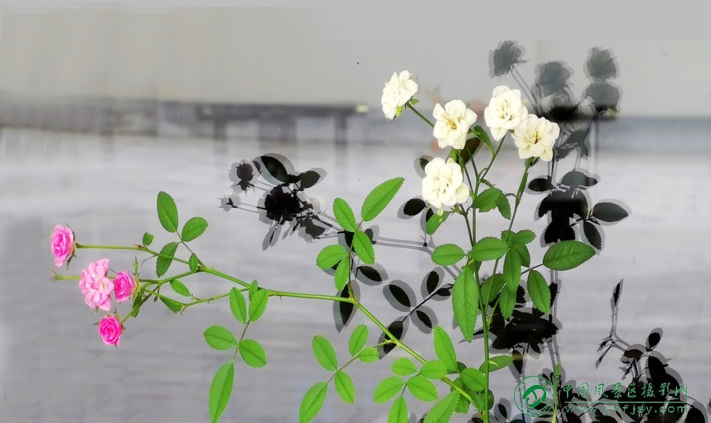 IMG_20260824_085327片.jpg