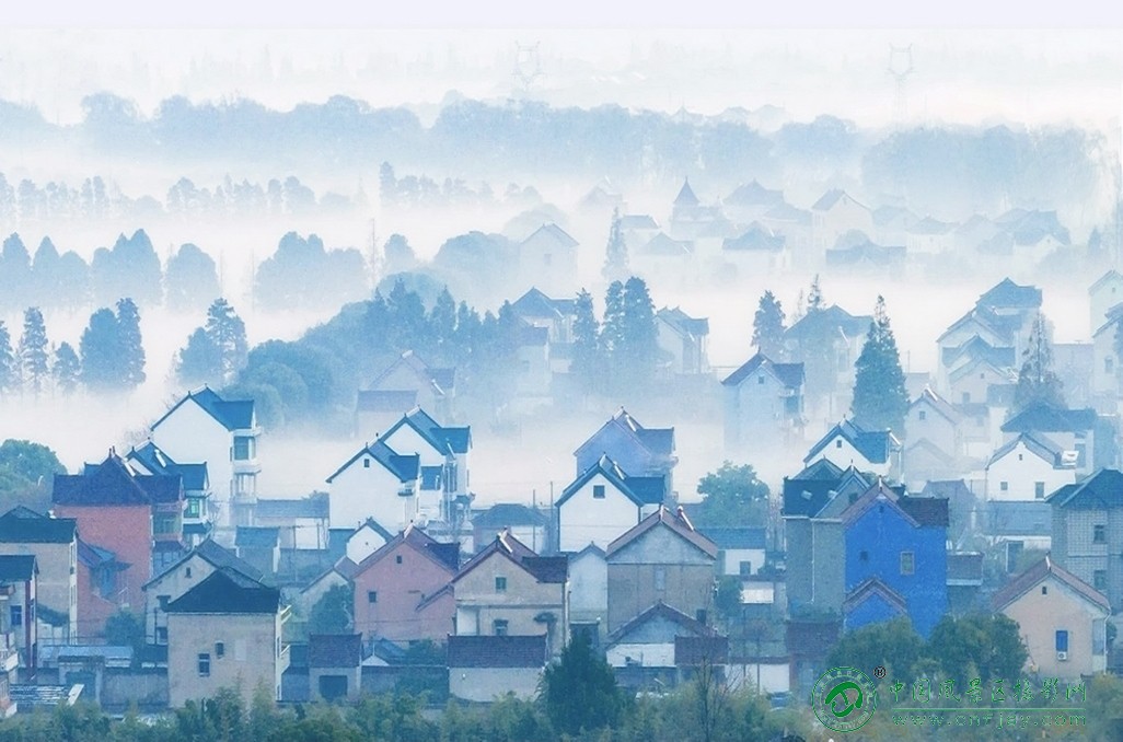 t1767158717695片.jpg
