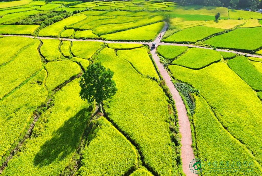 DJI_0146片.jpg