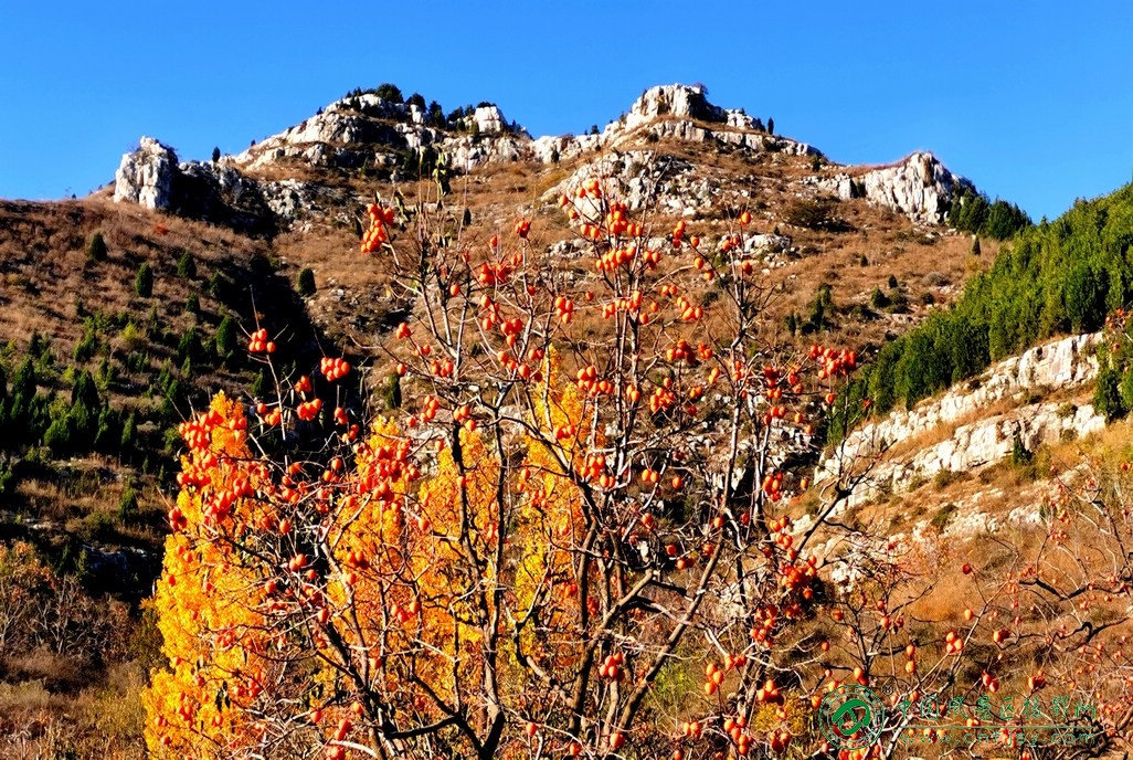 IMG_20251103_143006片.jpg
