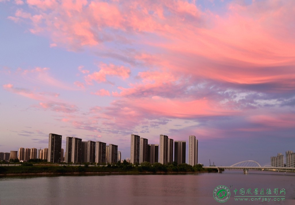 DSC_4892片.jpg