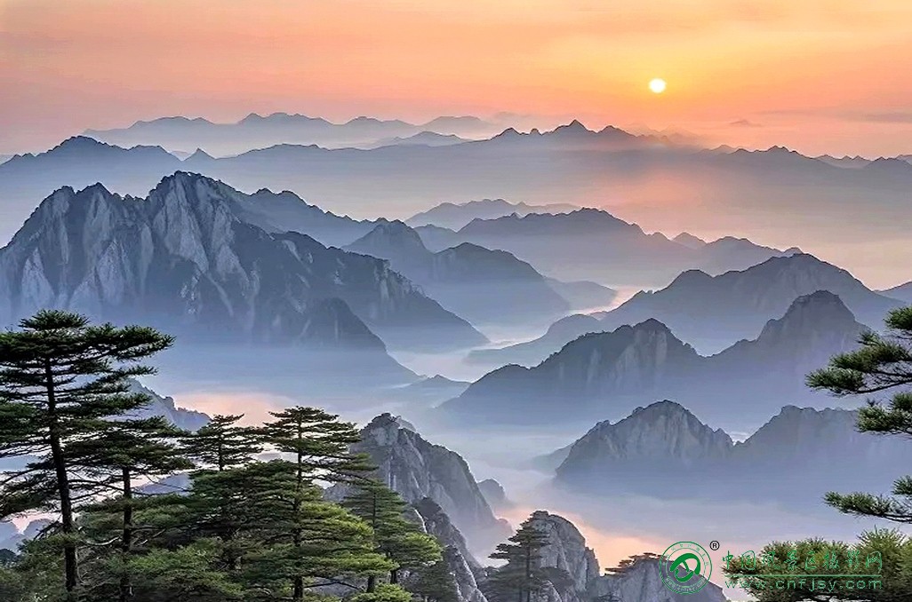 t1730335658150片.jpg