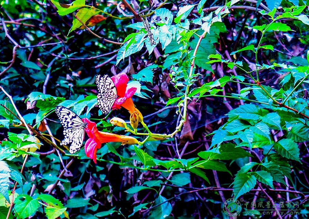 P1053030副本.jpg