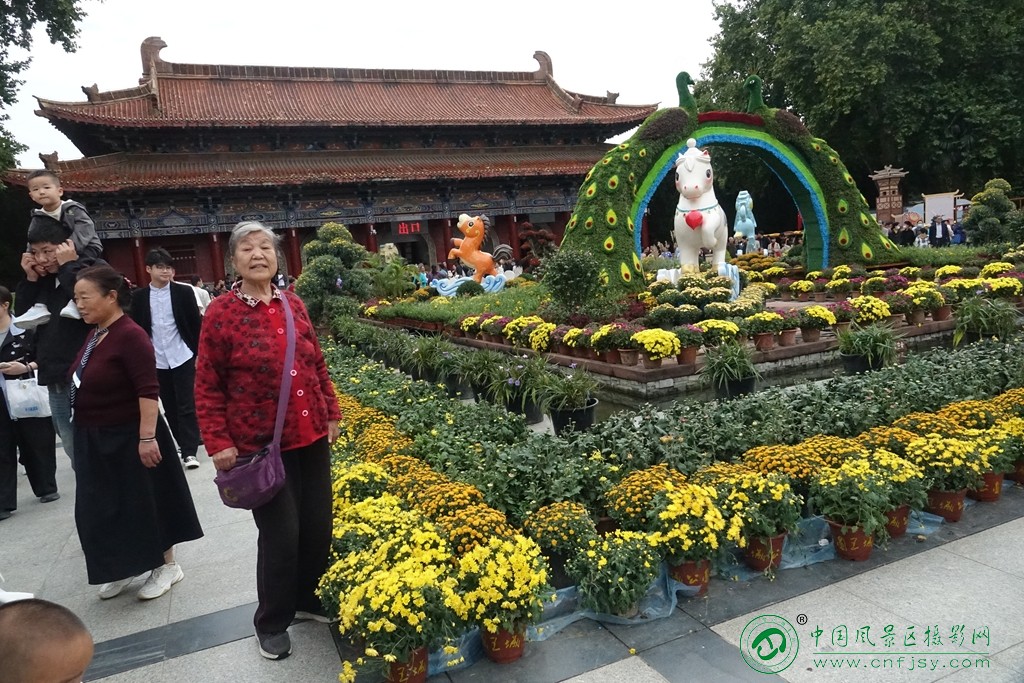 DSC07120_副本.jpg