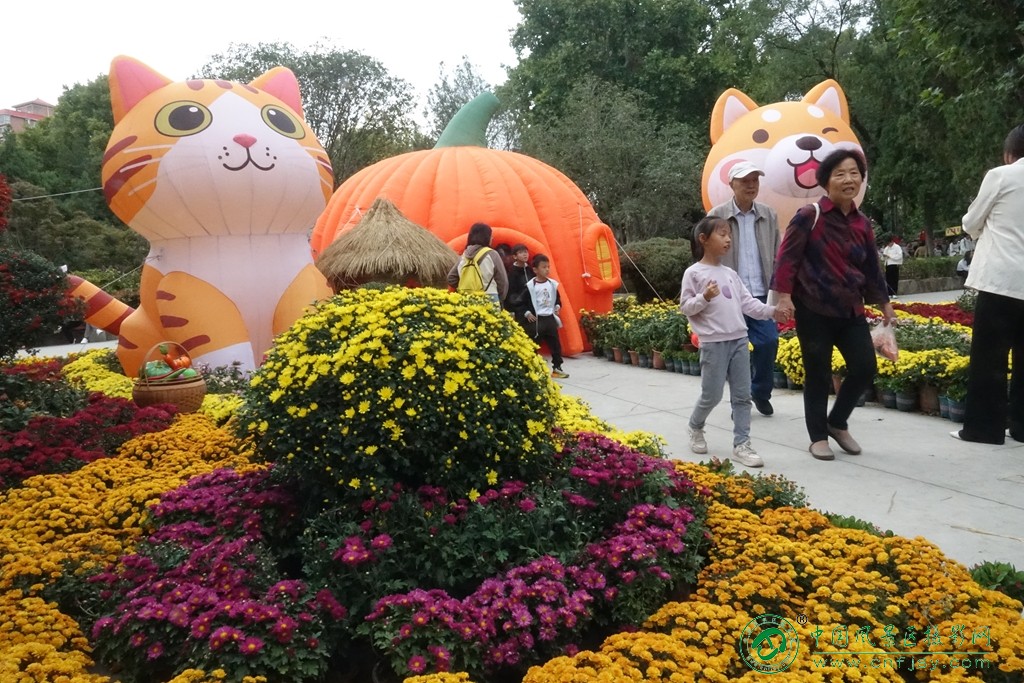 DSC07128_副本.jpg