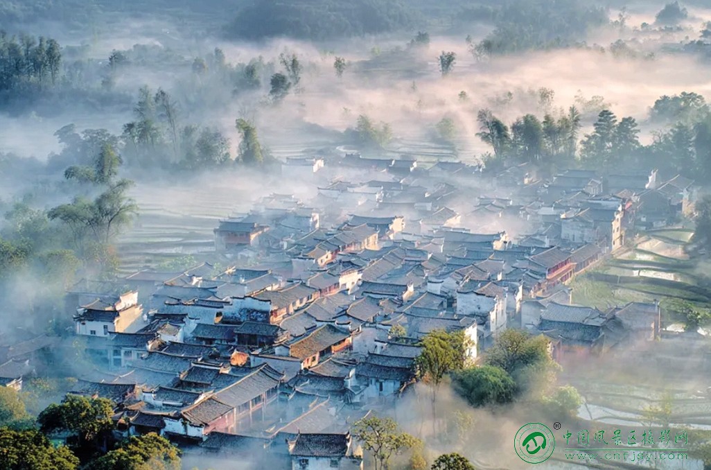 752069006754片.jpg