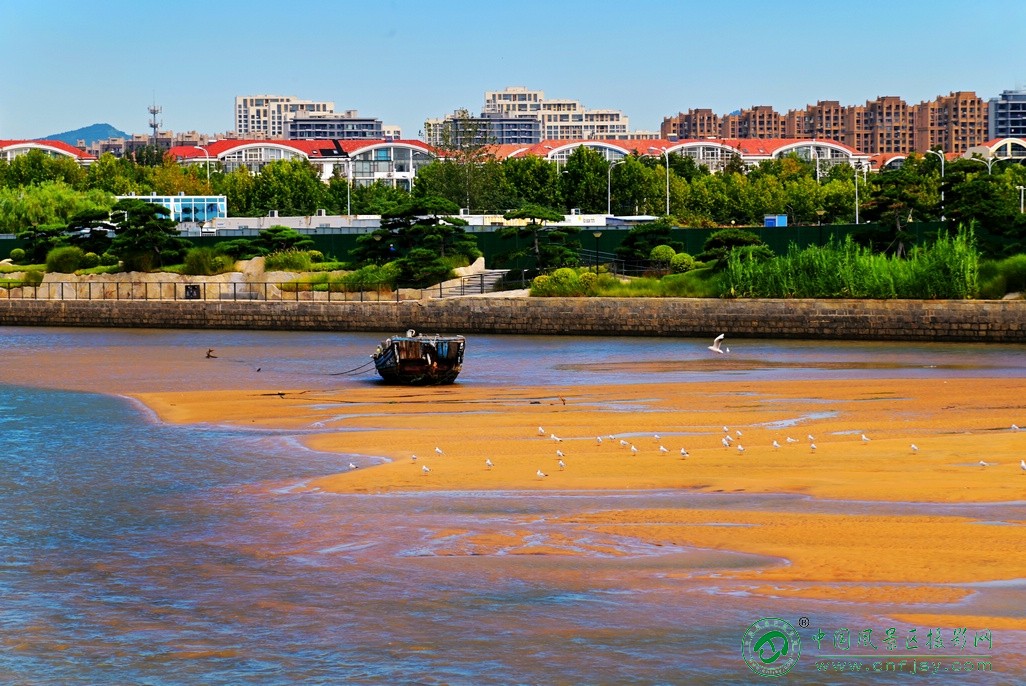 DSC_4574片.jpg