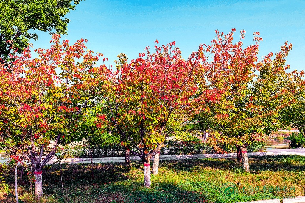 P1053213副本.jpg