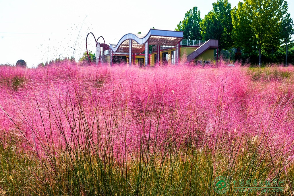 P1053219副本.jpg