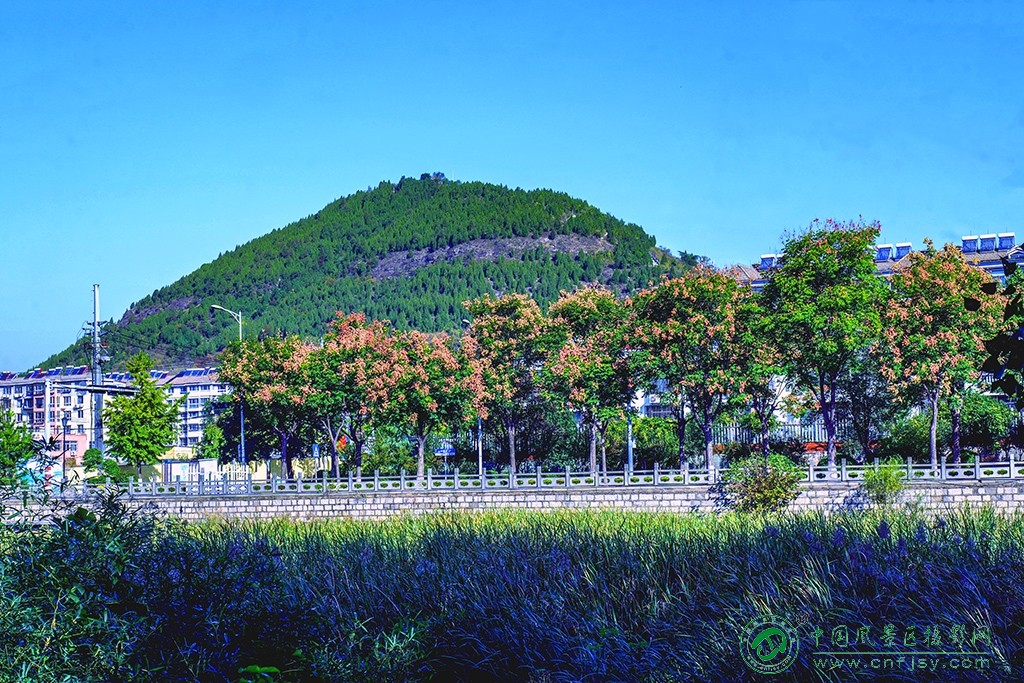 P1053230副本.jpg