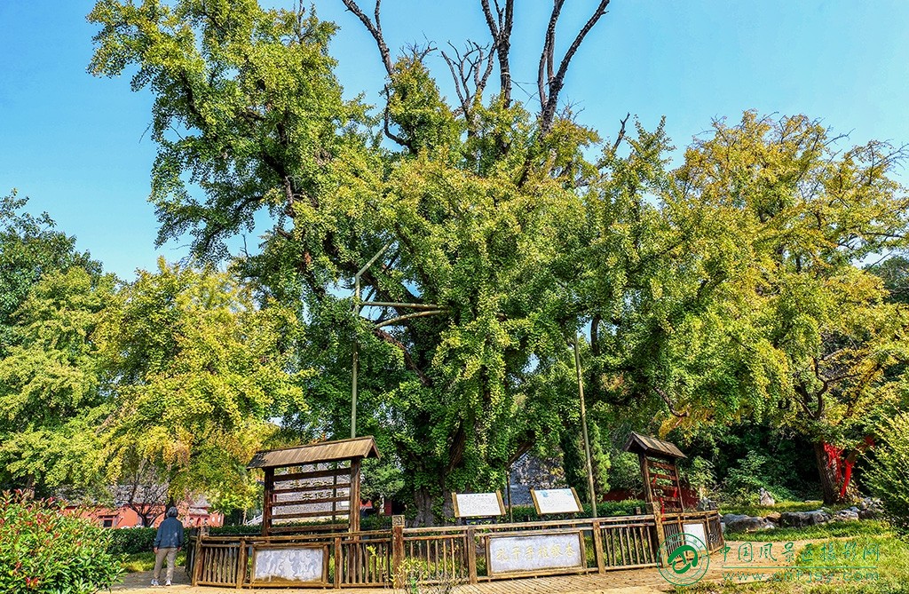 P1053277副本.jpg