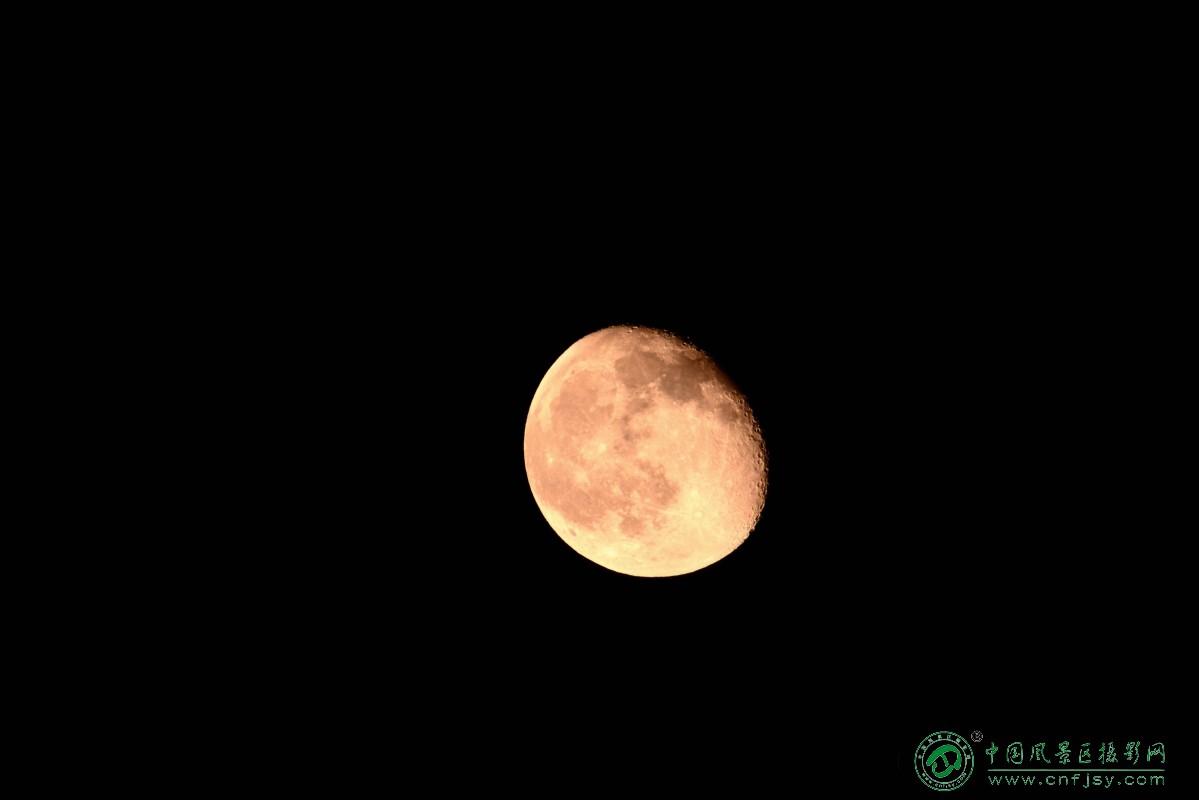 DSC_3861_副本1_副本.jpg
