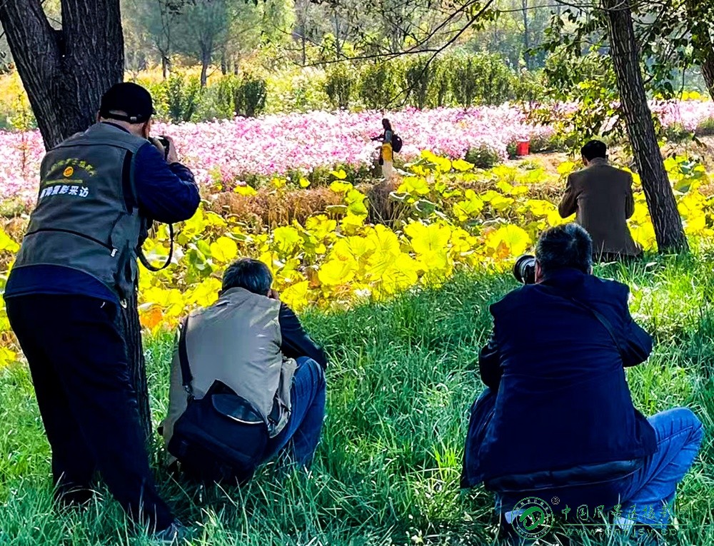 王能荣 (3)31.jpg
